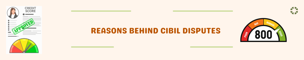 Reasons Behind CIBIL Disputes